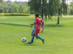 网球男单世,界第一辛纳,达成和解,九游会备用官网,九游会备用App,九游会互动,九游会登录,九游会中心