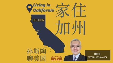 纽约城队新,主场,伊蒂哈德公,九游会备用官网,九游会备用App,九游会互动,九游会登录,九游会中心