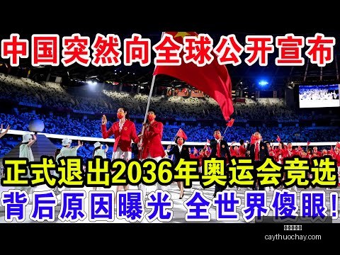 林诗栋法兰,克福赛晋级,四强,九游会备用官网,九游会备用App,九游会互动,九游会登录,九游会中心