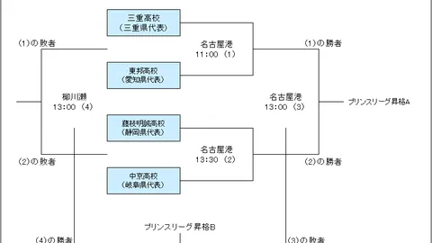 2024-2025法甲赛季球队球衣汇总