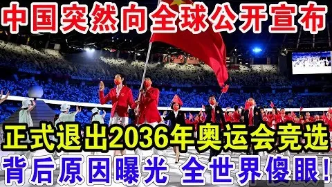 林诗栋法兰克福赛晋级四强 新华社微博公布